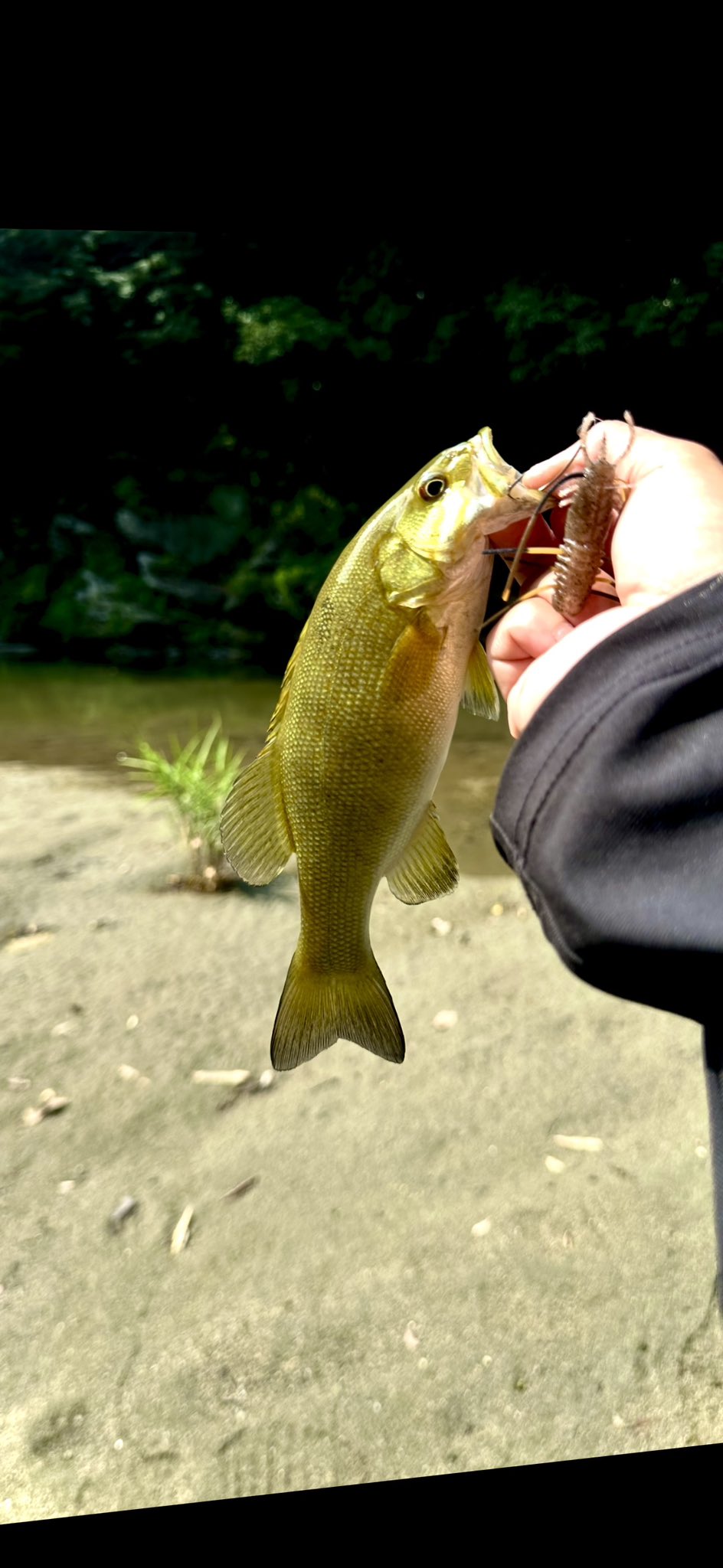 bassfishing7 (@bassfishing74) / X