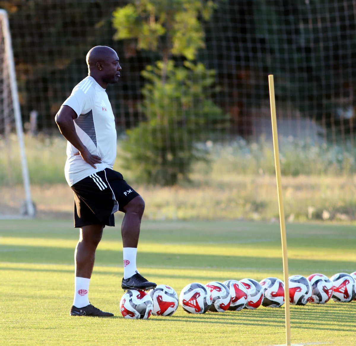 Pierre Webo tweet media