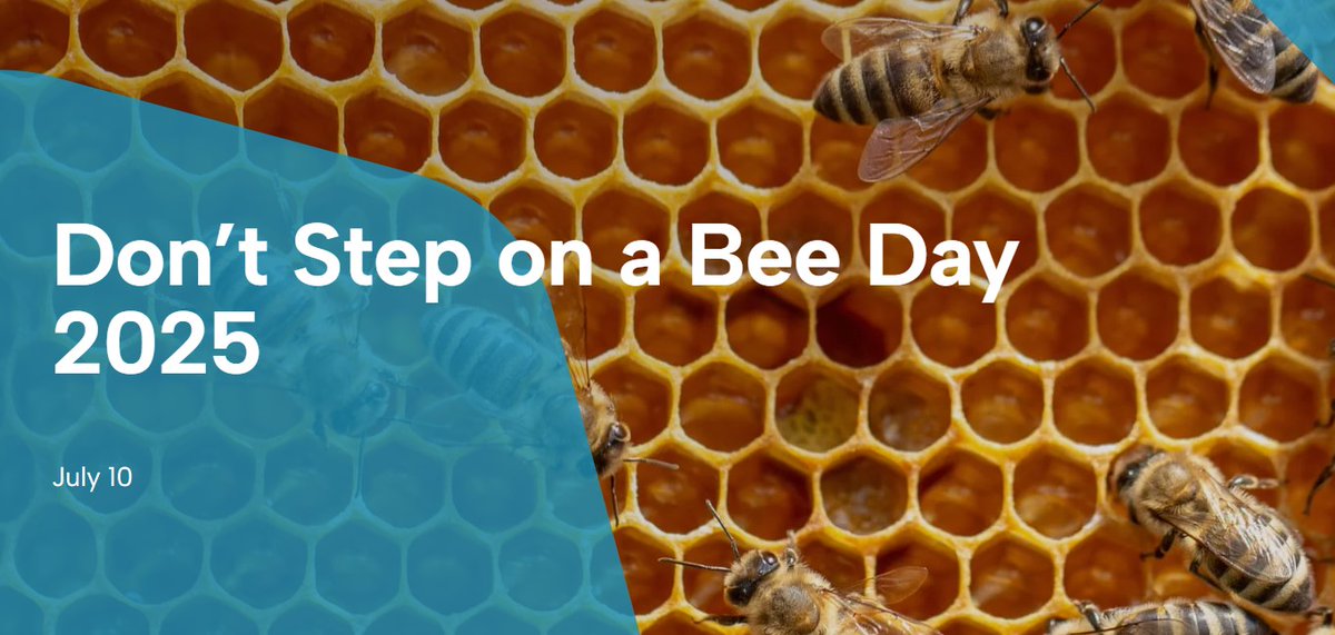 Today we are highlighting the importance of #bees and the role they play in pollination, the ecosystem &amp; the #environment You can help by planting pollinator friendly plants, plus create habitats to attract them zurl.co/PJ6DT  #DontStepOnABeeDay #SaveTheBees