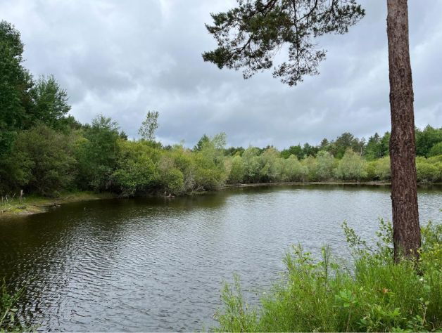 [𝐃𝐞𝐬 𝐬𝐨𝐥𝐮𝐭𝐢𝐨𝐧𝐬 𝐜𝐨𝐧𝐭𝐫𝐞 𝐥𝐞𝐬 𝐟𝐞𝐮𝐱 𝐝𝐞 𝐟𝐨𝐫𝐞̂𝐭 3/𝟒] 💧 Préserver l’eau potable. Valoriser les ressources existantes. Mieux protéger nos forêts.