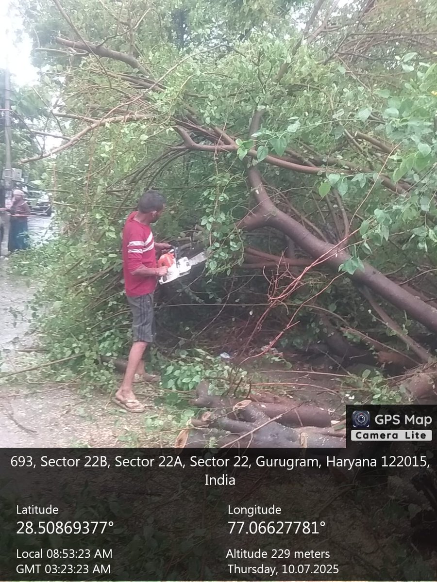 📊 Status Report: Tree Fallen Complaints
🌳 Total Complaints Received: 16
✅ Complaints Resolved: 13
🔧 Complaints In Progress: 3
#TeamMCG is actively working to address the remaining cases and ensure public safety.
#MCGInAction #HorticultureTeam #GurugramUpdates #PublicSafety
