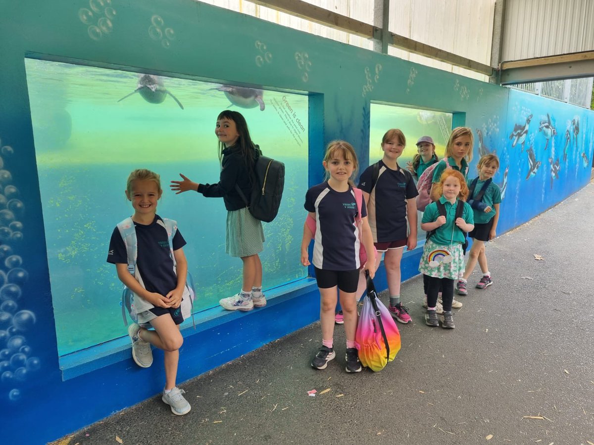 Pawb wedi joio mas draw ar ein trip ysgol gyfan i Folly Farm ddoe🦁🦒🐧🎡🎠