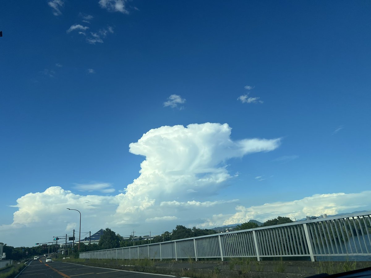 treatshiga's tweet image. 京都での新規取引き先へ入社が決まりました☺️
暑いですね💦

関東の線状降水帯発生が雨雲レーダーで👀帰宅時間に皆さまお気をつけください

滋賀は入道雲がもくもくで、ゲリラ豪雨の心配は今の所なく #びわこ キラキラです

セミが鳴き出しました
皆さんご安全に🍀
#企業公式がお疲れ様を言い合う