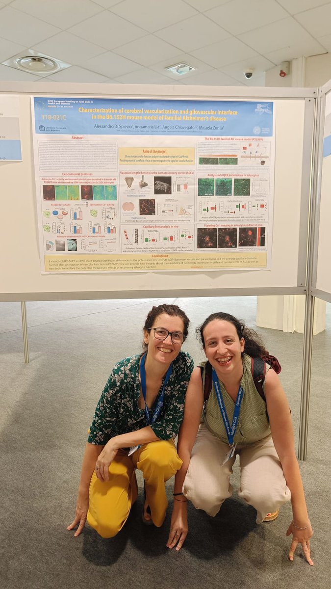 If you are at #GLIA2025🧠 come to see our posters 😍

T16-152C: eATP and P2X7R as main drivers of neuroinflammation in AD

T18-021C: Characterization of cerebrovascular and gliovascular interface in AD

Can't wait for your insights🤗