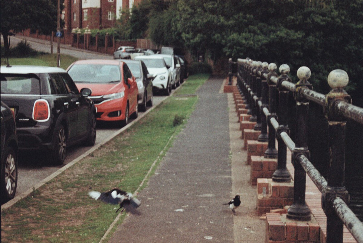 Atamjit Niber tweet media