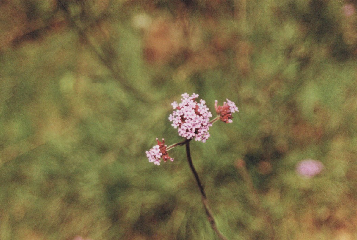 Atamjit Niber tweet media