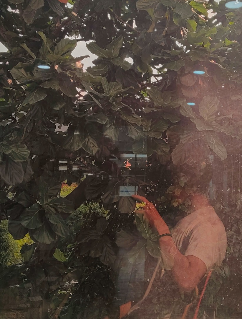 BUKAN BASE RATED tweet media