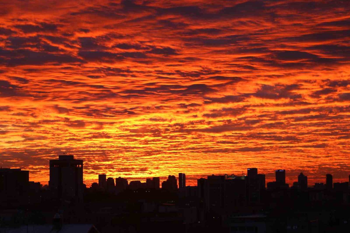 Kaptanını tanımadığın bir gemide, Şoförünü tanımadığın bir otobüste rahatça seyahat ediyorsak hayattan neden korkuyoruz...