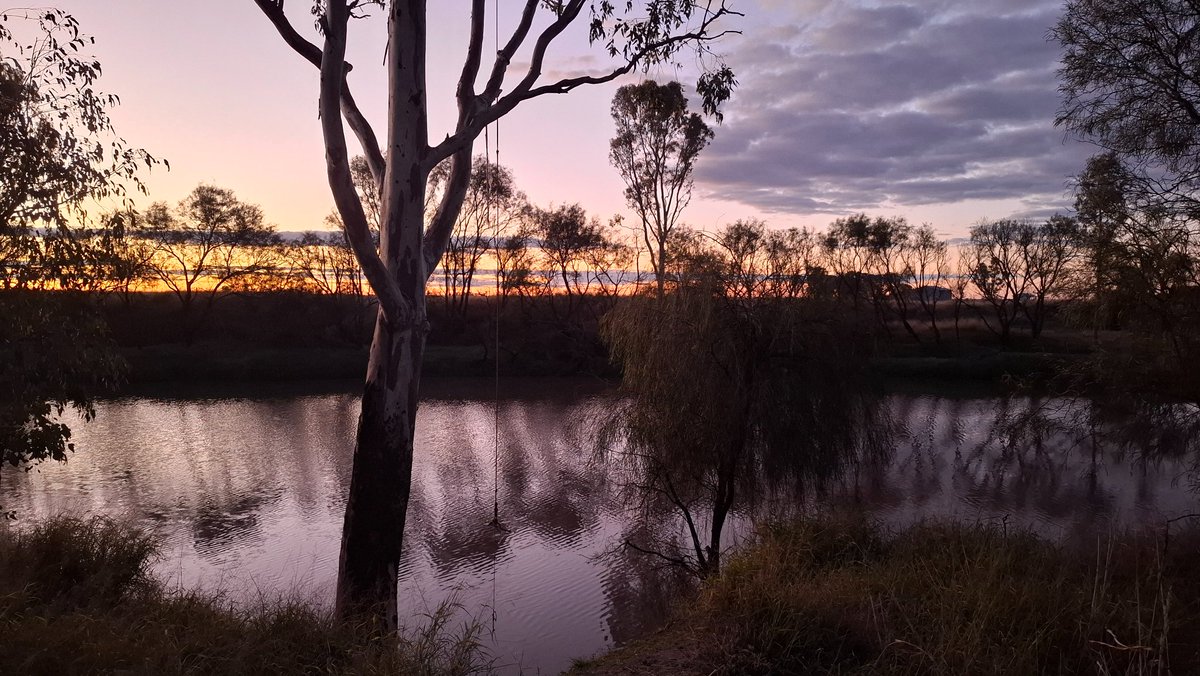 FactFirstNet's tweet image. Need more of this