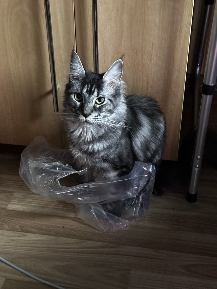 QAD Winteryrook 🇧🇾 tweet media