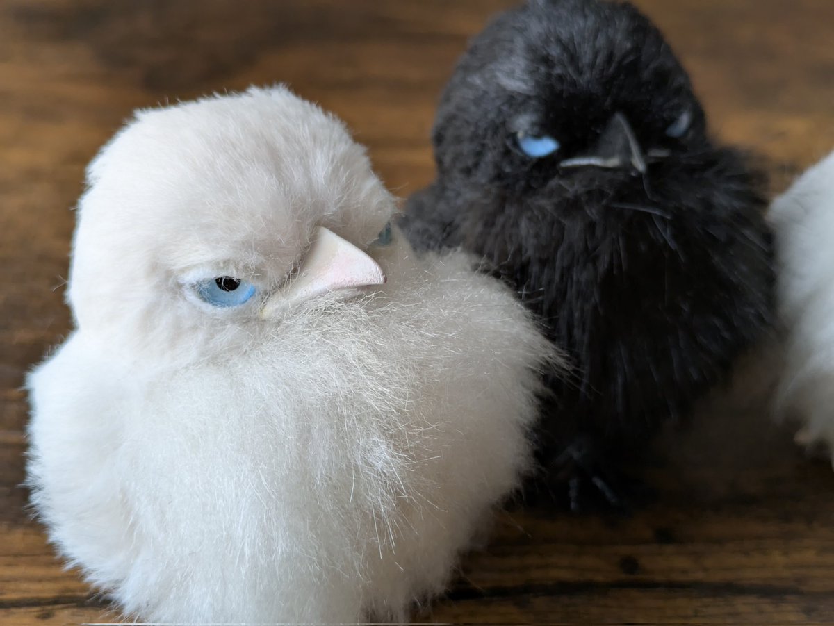 RchanMAMA◡̈✧⃛様 リクエスト 9点 まとめ商品 RchanMAMA◡̈✧⃛様 リクエスト 9点 まとめ商品