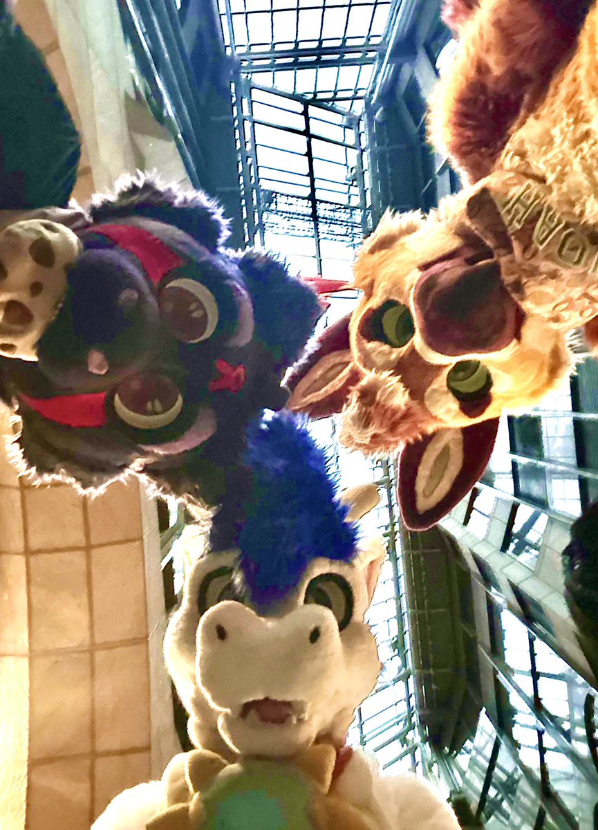 Three fellas!

#FursuitEveryday