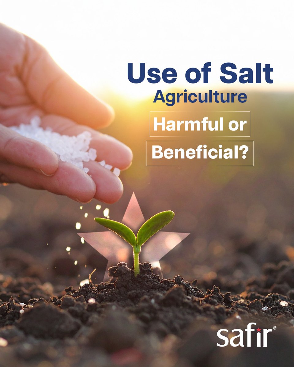 Doğru oranda ve bilinçli kullanılan kaya tuzu, toprağın mineral dengesine katkı sunabilir, zararlı organizmaların uzaklaştırılmasına yardımcı olabilir. Safir Tuz’un doğal ve saf yapısı, kontrollü tarım uygulamalarında güvenle tercih edilebilir.

#safirtuz #tuz #doğaltuz