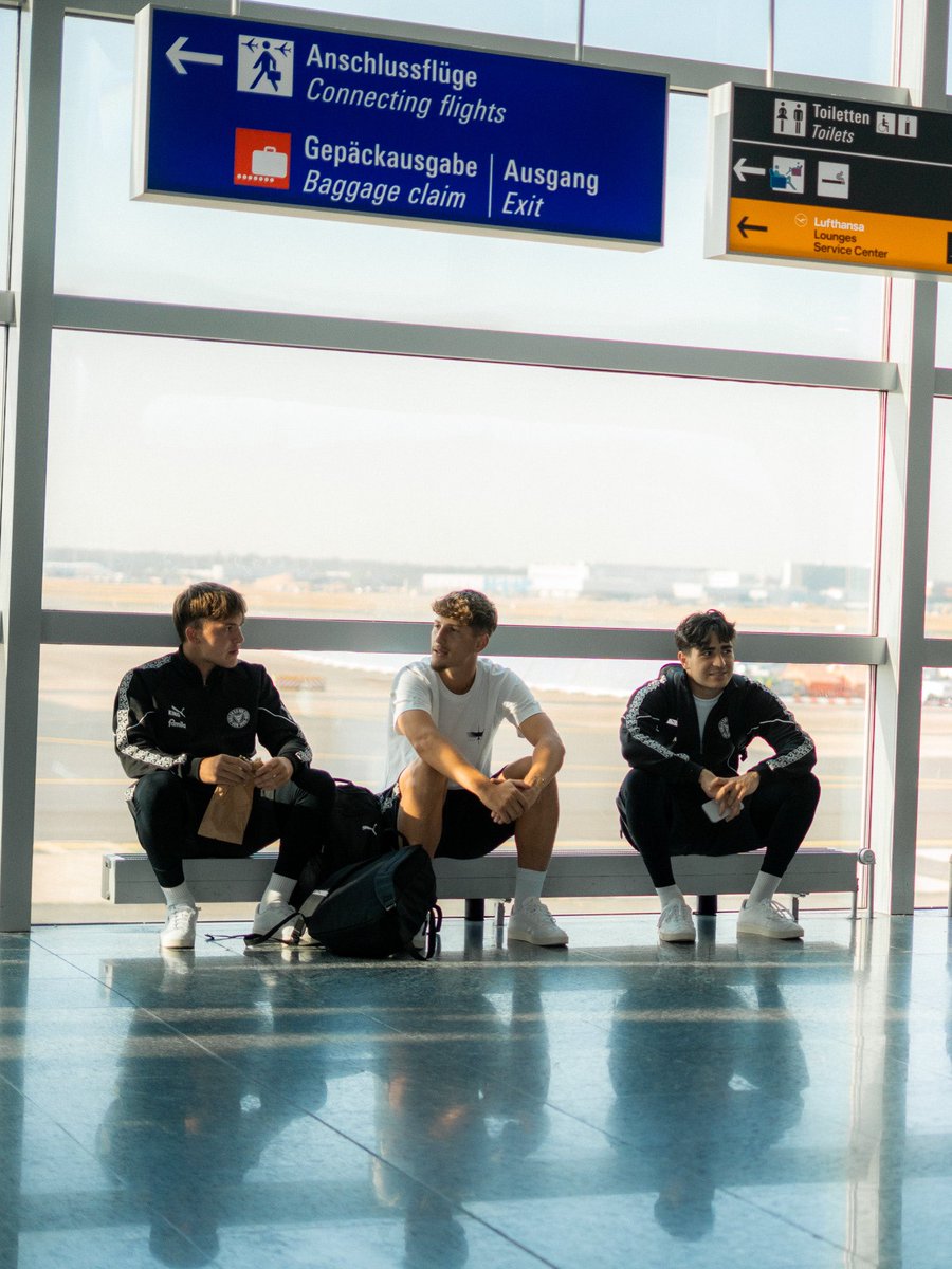 Moin, Deutschland! Unsere Störche sind zurück 🇩🇪
_
#KielAhoi