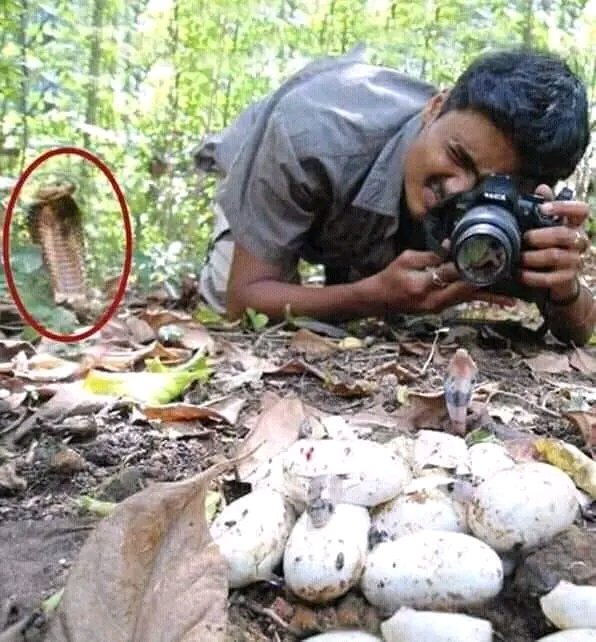 Savheya veFashion tweet media