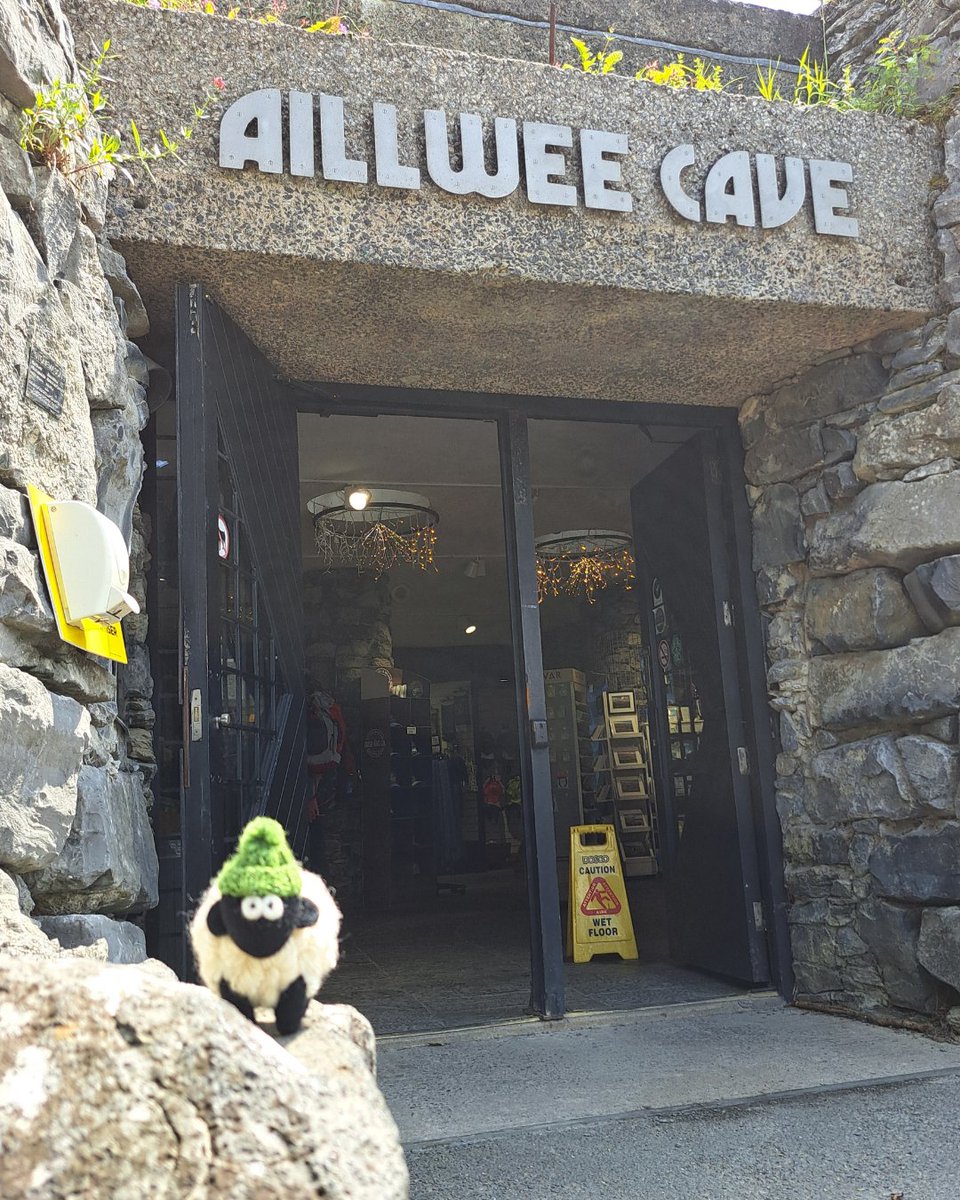 Cliffs of Moher Experience tweet media