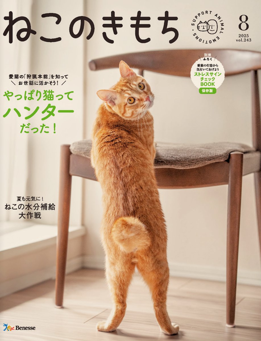 ねこのきもち8月号表紙撮影を担当しました😺📷
モデルは読者さんのおうちの茶々丸くん🧡チャームポイントの尻尾と美脚ポーズでキメっ✨ 
#ねこのきもち #猫 #covercat