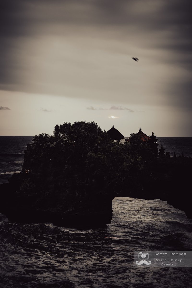Scott Ramsey Photography tweet media