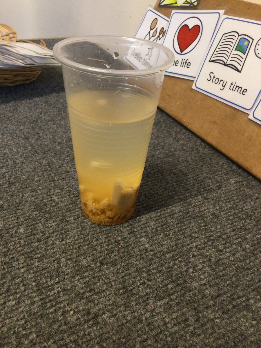 Pinders Primary tweet media