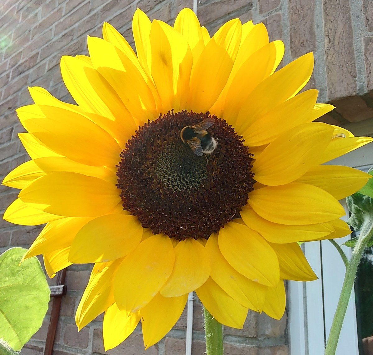 Wir haben Besuch auf der Terrasse.