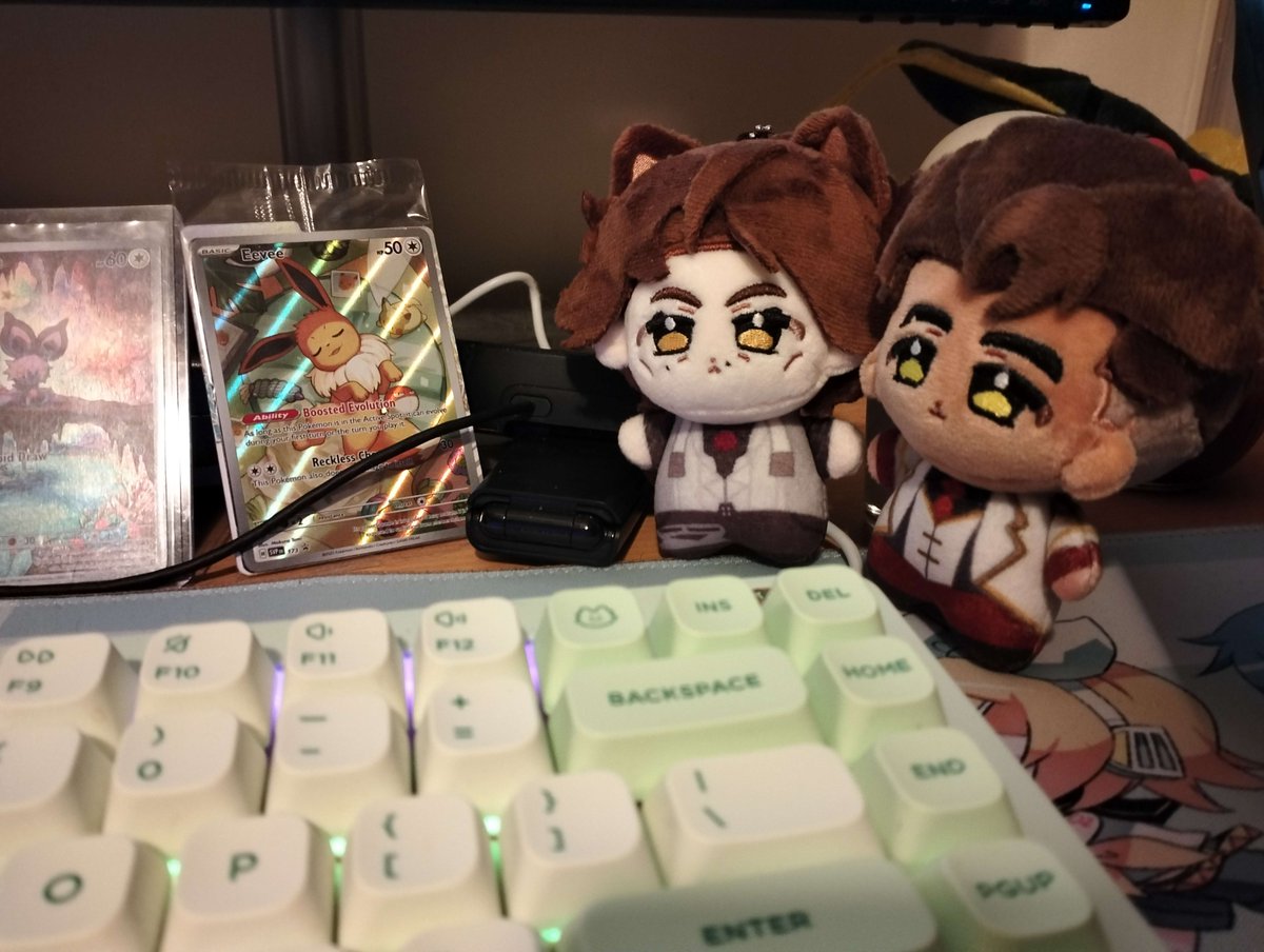 StivianGray's tweet image. hi jayvik nation look at the babies I got from @doufupuff on the weekend 🥹🤲 they hold hands on my desk and i make them smooch every time I leave 💚