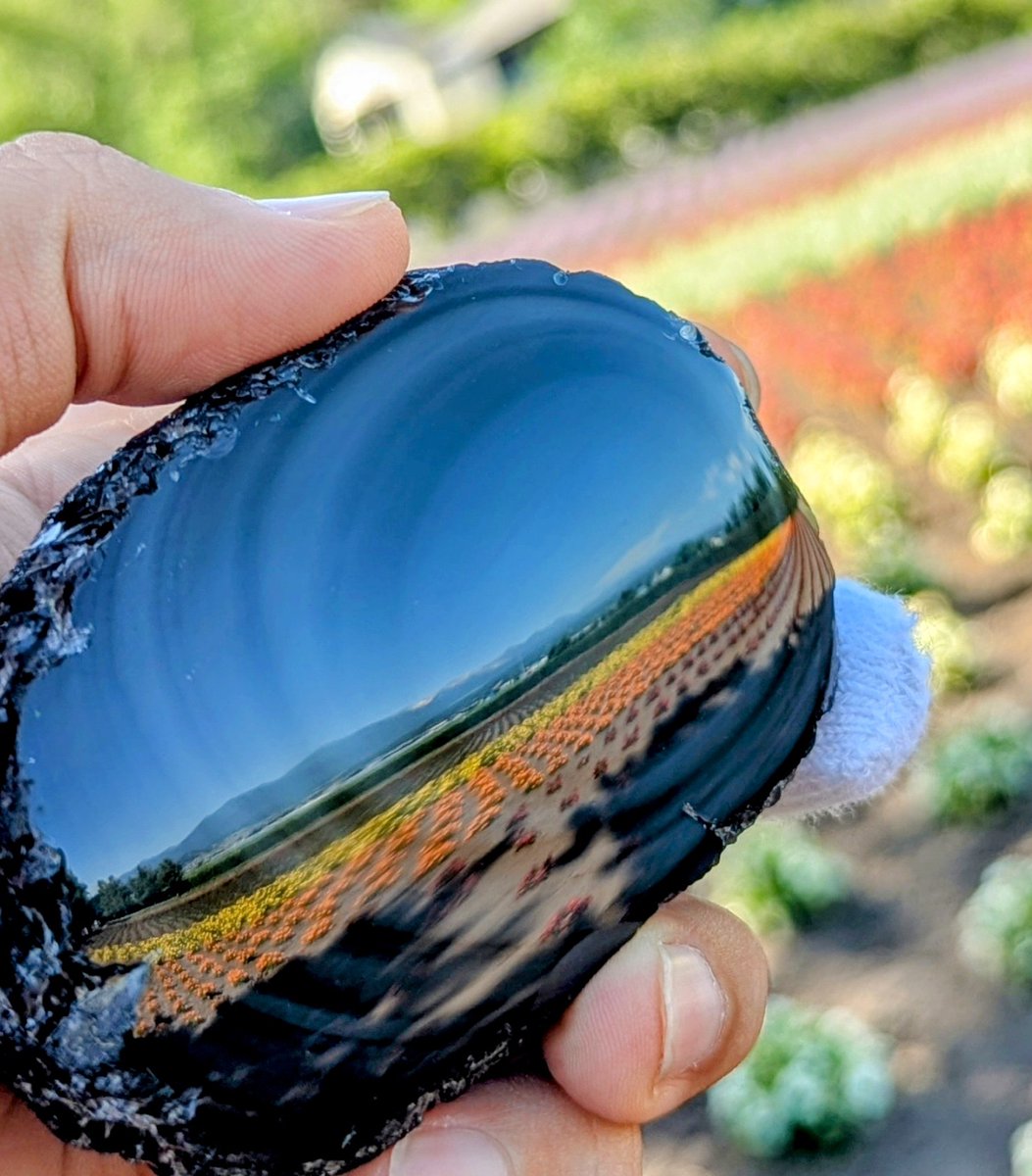 研磨品 十勝石玲瓏 ゴールデンレインボー 特級品 【公式通販】