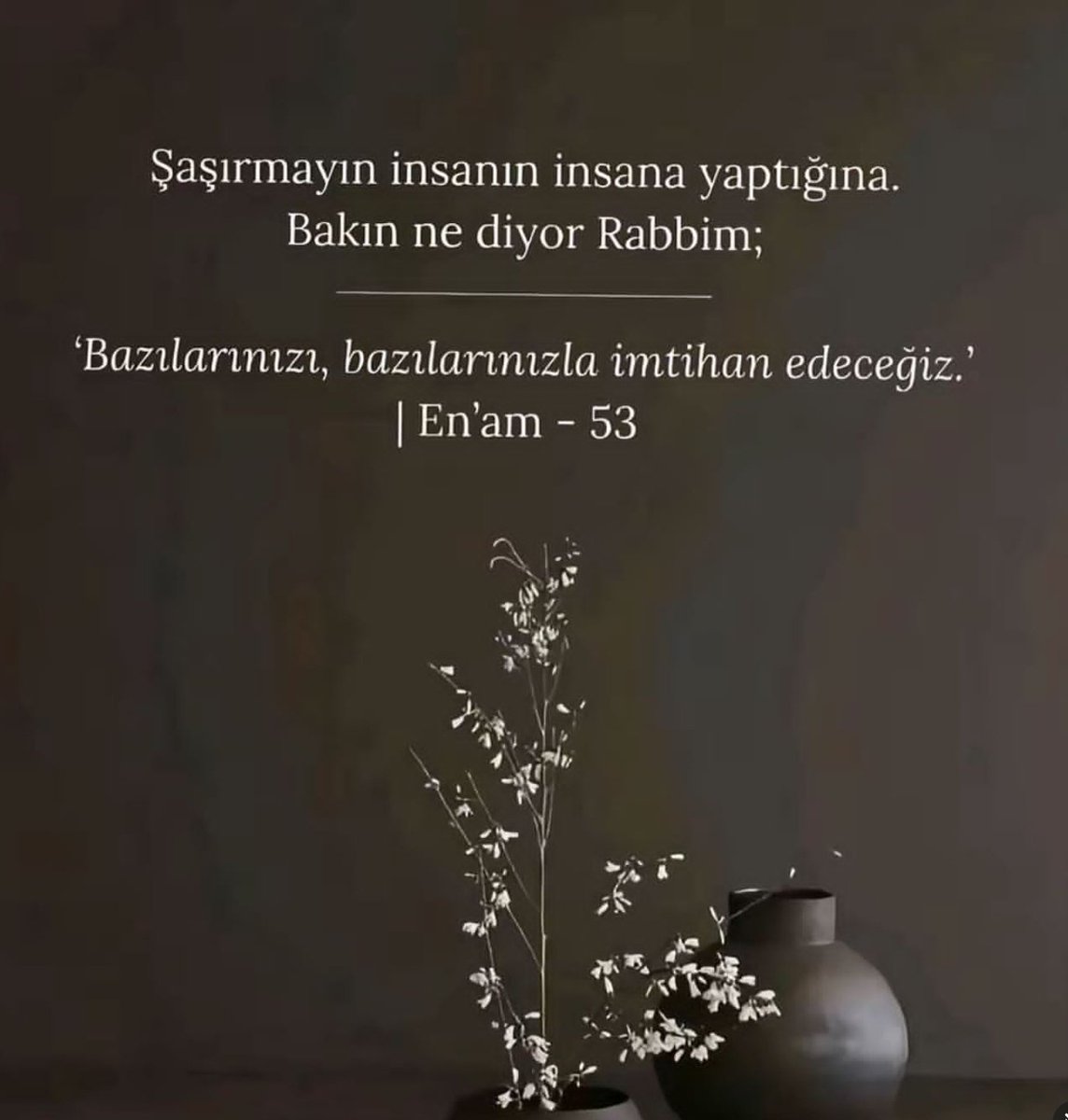 Monna Rosa (@ayaserenat) on Twitter photo 