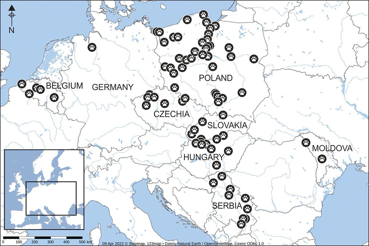 AntiquityJ's tweet image. This #NationalKittenDay, check out this paw-some map 😼

Wildcats migrated into Europe ~10,000 years ago, pre-dating the continent's first farmers. This suggests that, true to form, these curious cats came independently, without human influence.

🆓 doi.org/10.15184/aqy.2…