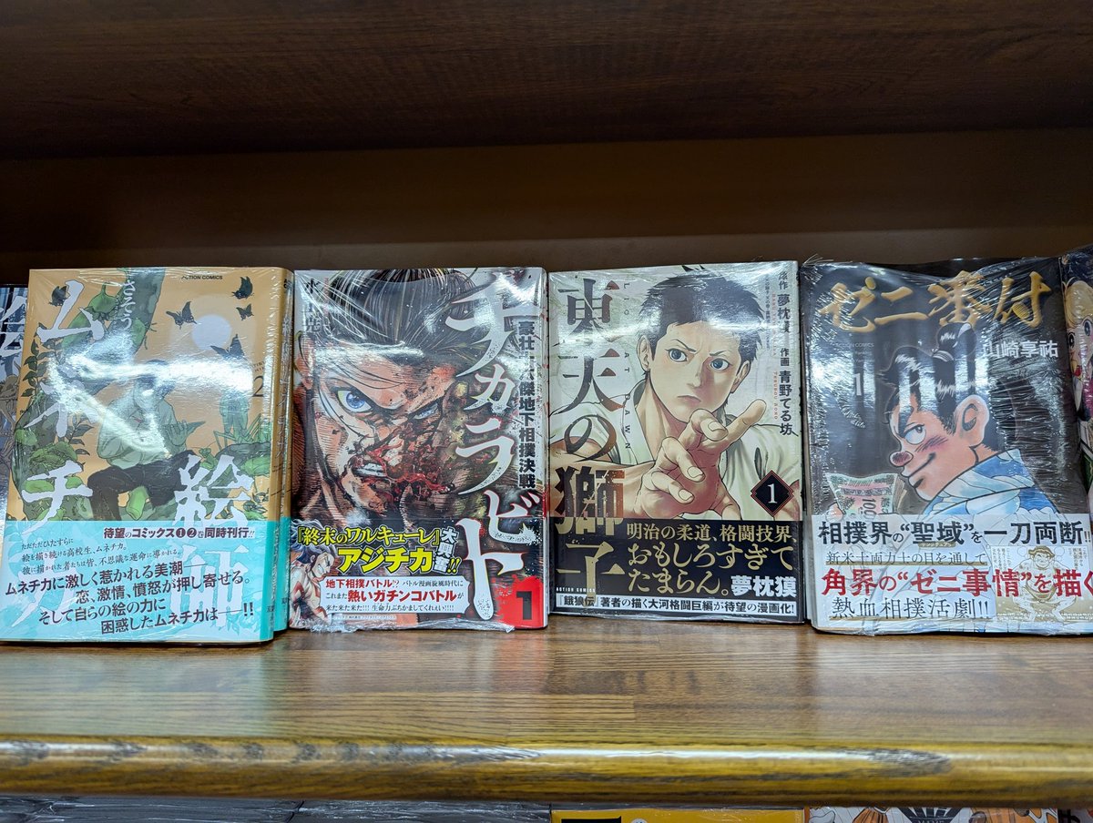 そして丸善博多店さまご入荷いただきありがとうございます…！！！

#東天の獅子
#柔道