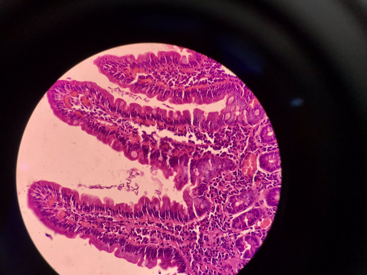 Mahabub Alam tweet media