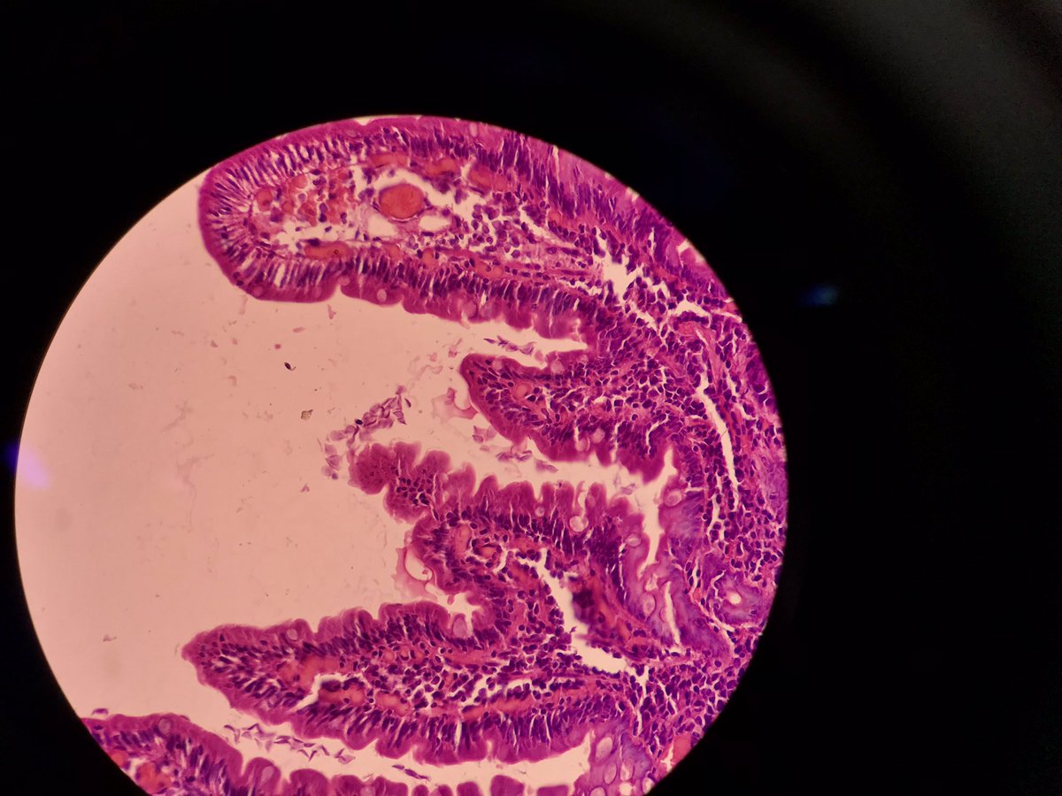 Mahabub Alam tweet media