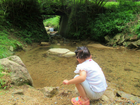 jalannet's tweet image. #関西 で #川遊び
水遊びも自然の風景も楽しめる、川遊びスポット❣キャンプやバーベキューができる場所もありますよ✨
🏞️生野黒川渓谷 魚ヶ滝【兵庫県・朝来市】
🏞️自然の森ファミリーオートキャンプ場【大阪府・能勢町】
🏞️みよしのオートキャンプ【奈良県・黒滝村】…