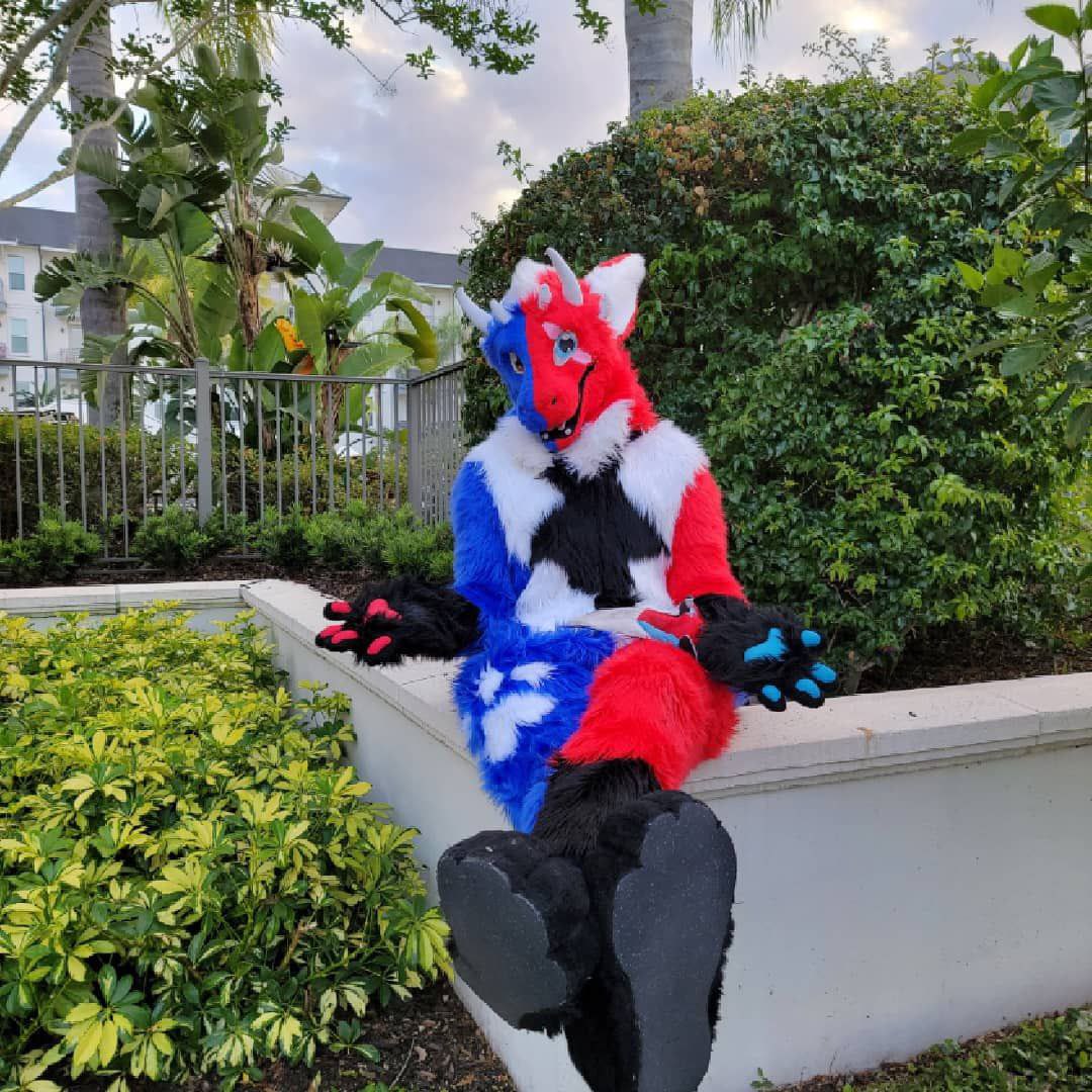 SplitzHT's tweet image. Well, looks like my old boi Splitz has finally found a new home.  He brought so many good memories and has been a big part of my life these last few years.  So from now on, I’ll be known as Omni the dragon.  Suit completion tbd.  I’m excited for a new chapter but will miss Splitz