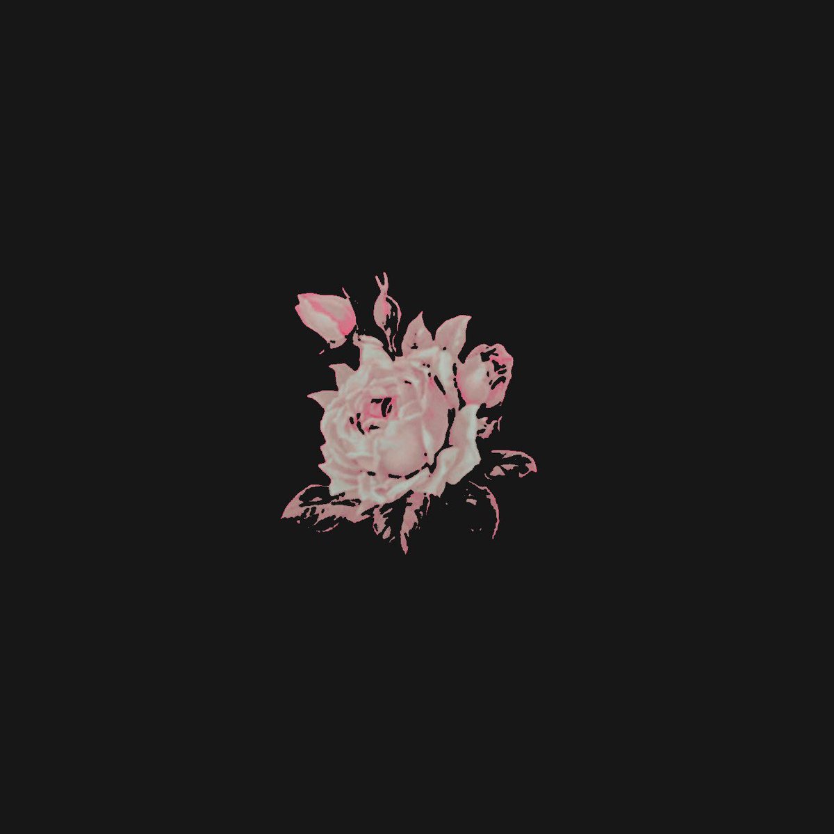 MVRPFLOWERSHOP's tweet image. β β
ββ ππ³πΆπΎπ¬πΉ π«π¬π³π°π½π¬πΉπ .α
β β β β ππ: @KINGJ0KERx
β β β β π
πππ: @yorusbeholder
β β β β β
β β β β 