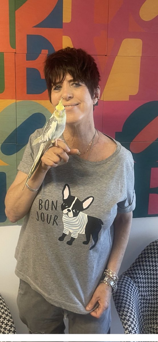 Meet Charlie, the newest member of my lil menagerie🦜❤️