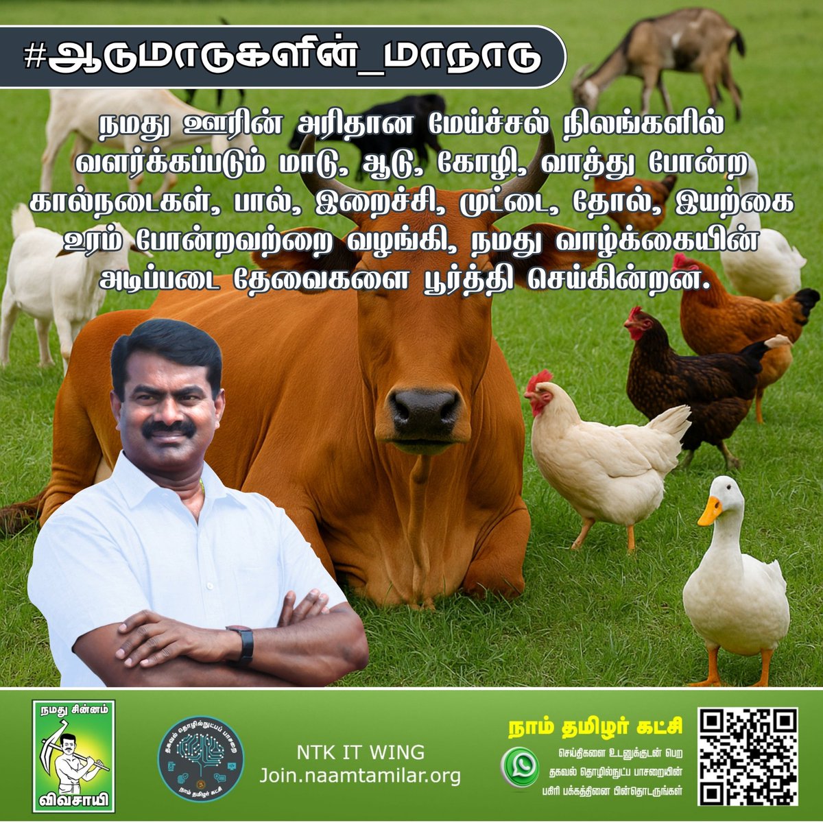 நமது ஊரின் அரிதான மேய்ச்சல் நிலங்களில் வளர்க்கப்படும் மாடு, ஆடு, கோழி, வாத்து போன்ற கால்நடைகள், பால், இறைச்சி, முட்டை, தோல், இயற்கை உரம் போன்றவற்றை வழங்கி, நமது வாழ்க்கையின் அடிப்படை தேவைகளை பூர்த்தி செய்கின்றன. 
#ஆடுமாடுகளின்_மாநாடு