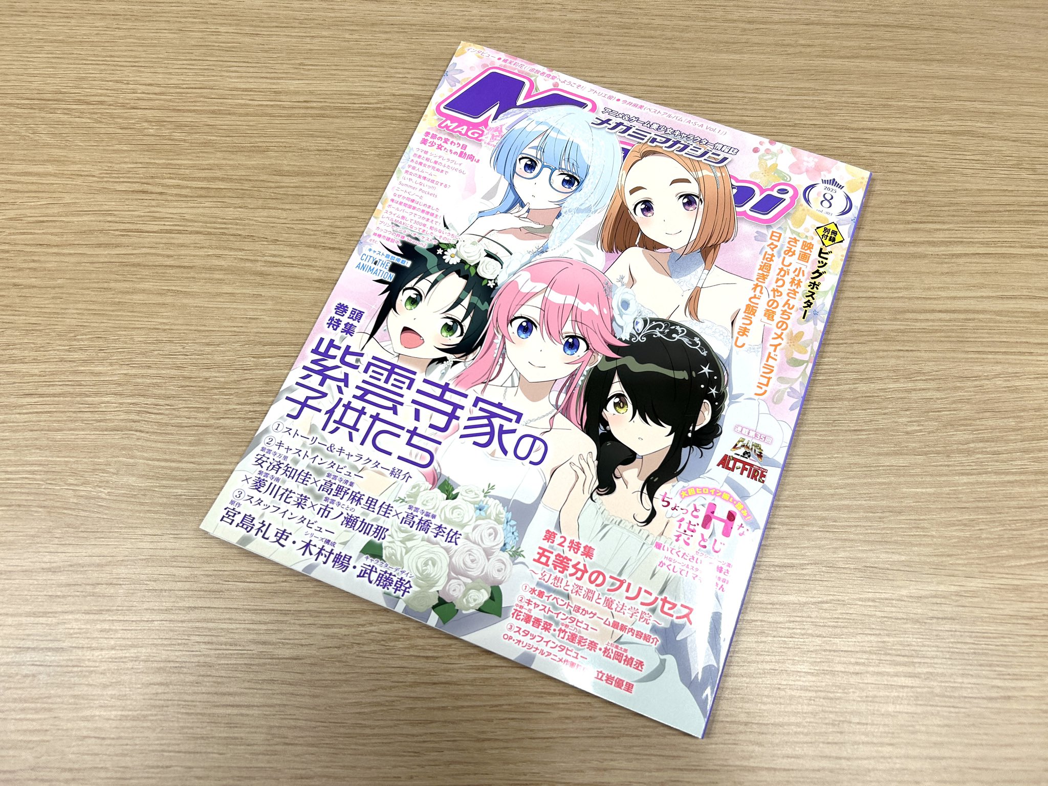 メガミマガジンRX Vol.8 ポスター、ピンナップ付録全付 趣味