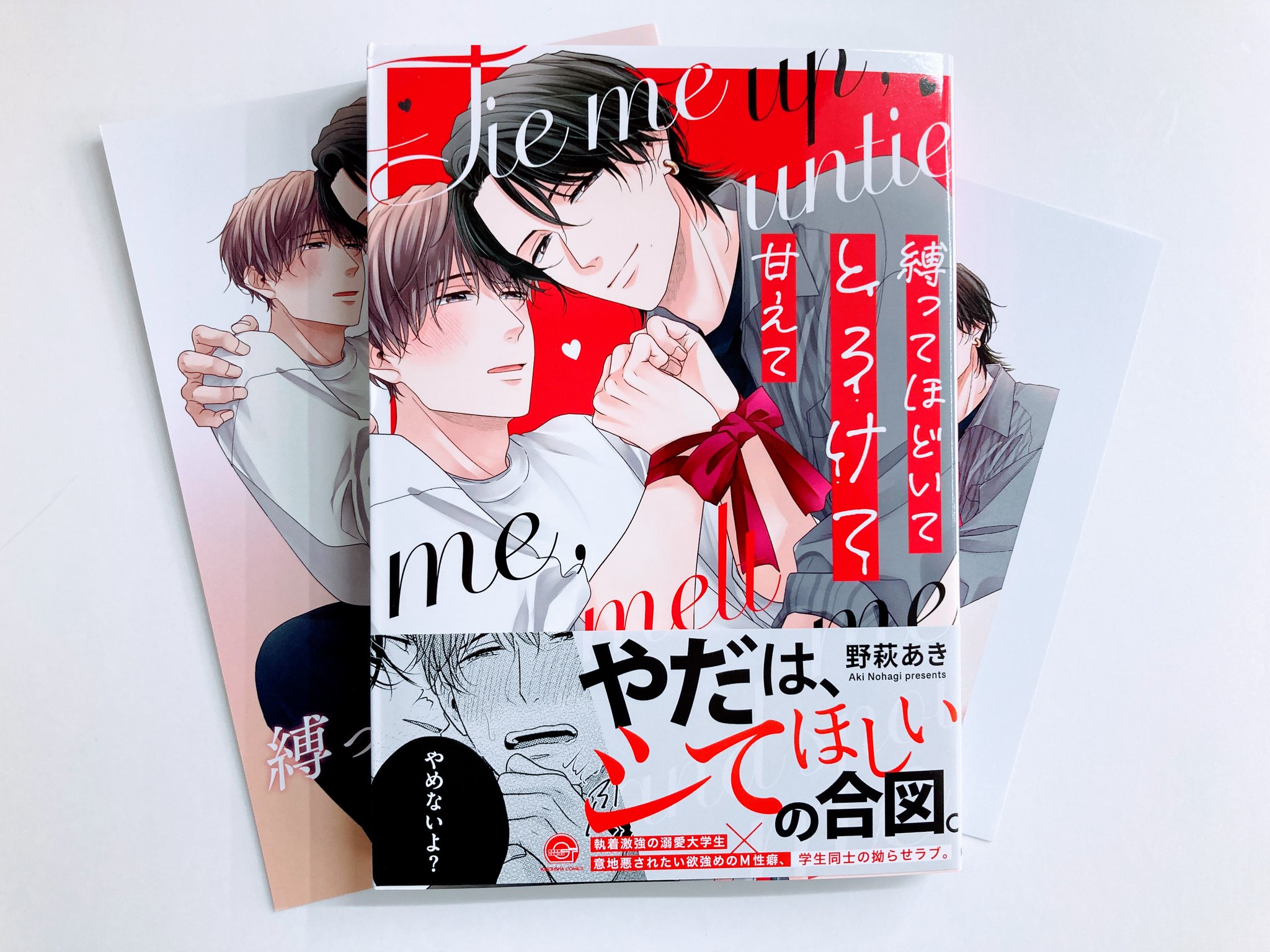 BL漫画　20冊セット　アニメイト限定特典付き　お得　美品 BL漫画 20冊セット アニメイト限定特典付き お得 美品 - メルカリ