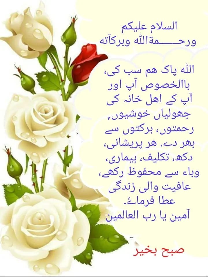 Zahra Rizvi (@ssz1472) on Twitter photo *السَّلاَمُ عَلَيْكُمْ
*اللہ کریم ہمیں ہر برے وقت ، آزمائش اور امتحان سے بچائے رکھے اور اپنی پناہ میں رکھے یا رب العالمین ہم سب پر ہر پل ، ہر گھڑی، رحمتوں اور برکتوں کی بارش فرما ہم پرخیر کے دروازے کھول دے اور ہمیں دنیا و آخرت کی بھلائیاں عطا فرما
<a href="/ssz1472/">Zahraᵀᴹ__ˢᵒʷ</a>
<a href="/TM__SOW/">team SOW Official ٹیم شاہین اف واریئر</a> *السَّلاَمُ عَلَيْكُمْ
*اللہ کریم ہمیں ہر برے وقت ، آزمائش اور امتحان سے بچائے رکھے اور اپنی پناہ میں رکھے یا رب العالمین ہم سب پر ہر پل ، ہر گھڑی، رحمتوں اور برکتوں کی بارش فرما ہم پرخیر کے دروازے کھول دے اور ہمیں دنیا و آخرت کی بھلائیاں عطا فرما
<a href="/ssz1472/">Zahraᵀᴹ__ˢᵒʷ</a>
<a href="/TM__SOW/">team SOW Official ٹیم شاہین اف واریئر</a>
