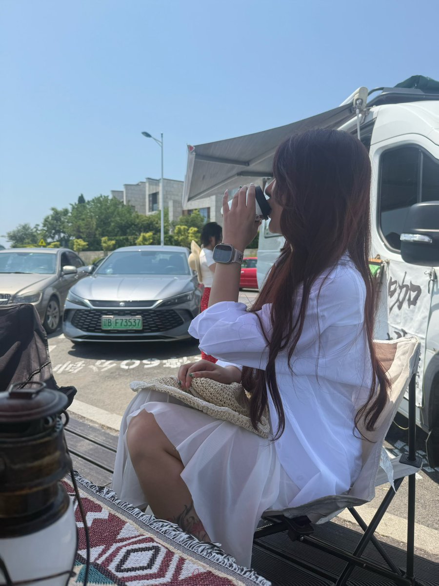 东北投稿 tweet media