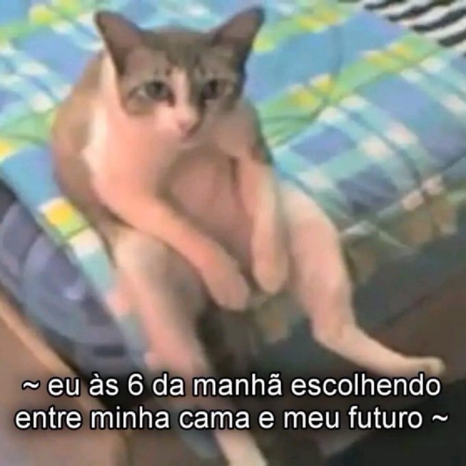 Trouxinha (@euovitinn) on Twitter photo 