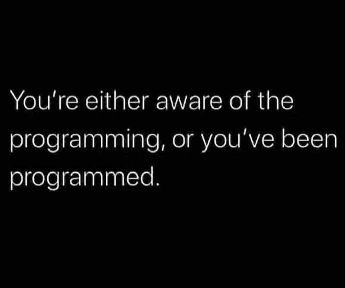 To the unvaccinated: 

They told you to forget your instinct. You remembered. 

Maximum respect. 🧠🧭