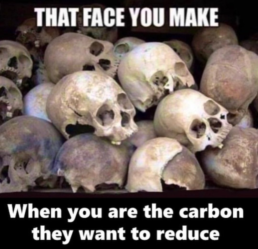 redpillbot (@redpillb0t) on Twitter photo 
