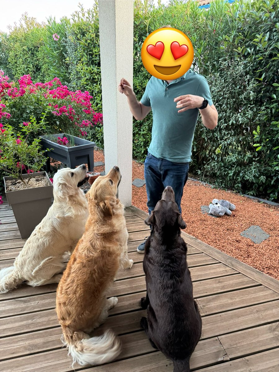 darkzov's tweet image. Vous verrez rien de plus mignon aujourd’hui 😍
