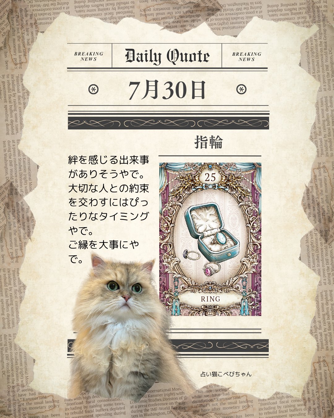 ⭐︎睦月ページ⭐︎のびねこ⑤ 5月11日譲渡会 子猫4匹増えました。 | うちのこねこ