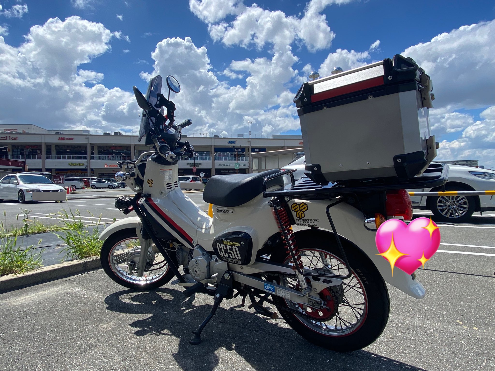 ふかみどり トリックスター / Ninja ZX-25R (23-25) 政府認証フル
