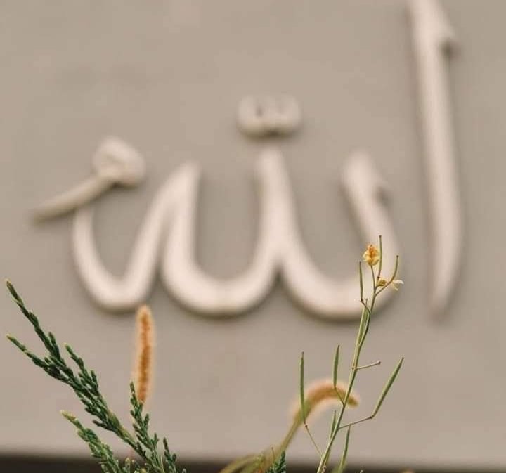 Her şeyi yaratan ancak Allah’tır.

(Rad Suresi 16.ayet)