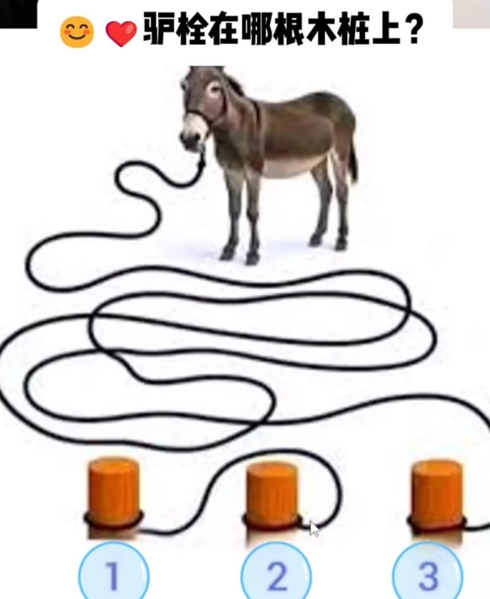 超好笑 我看的超級認真