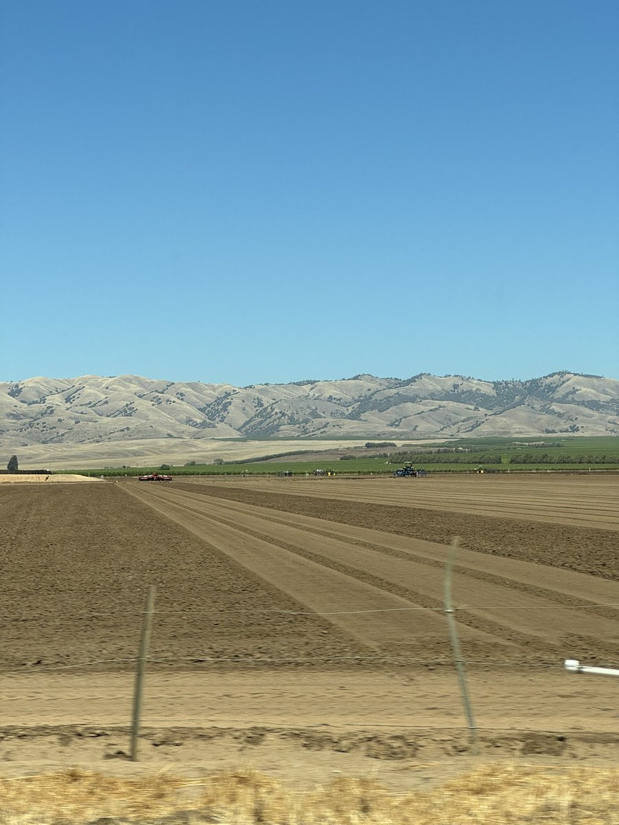 Izzy Eames tweet media