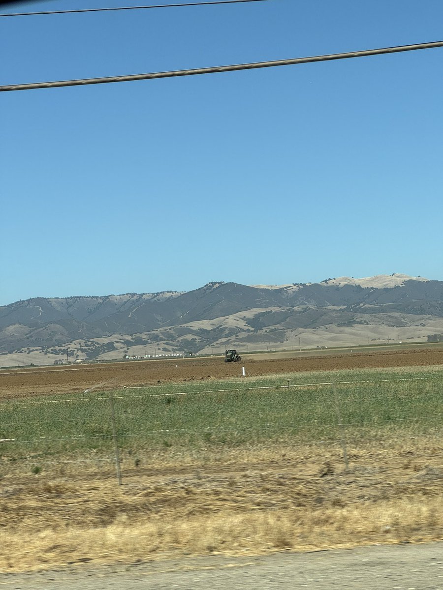 Izzy Eames tweet media